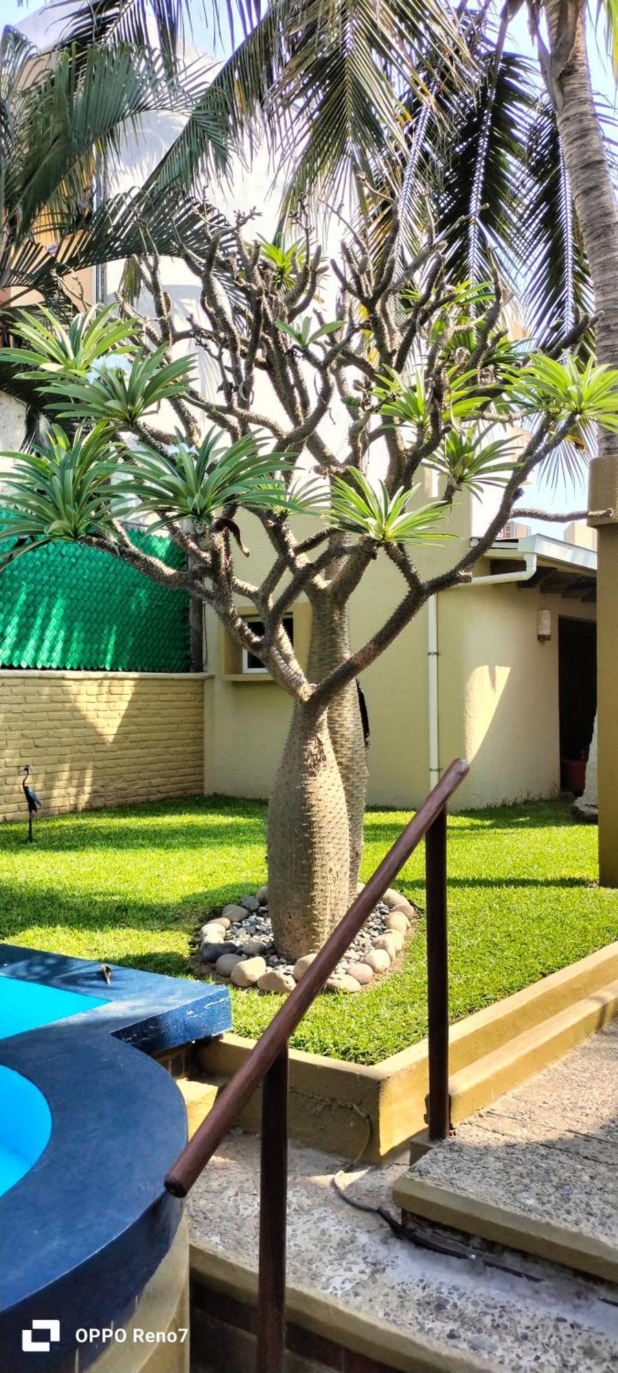 Villas Miramar Zihuatanejo Exteriör bild